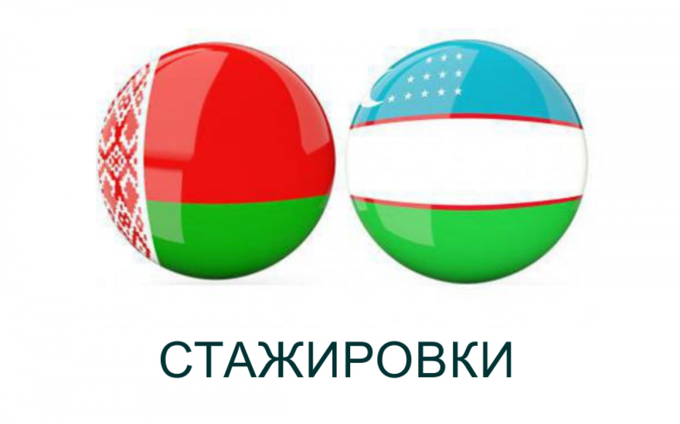 Продолжаются стажировки представителей узбекских вузов в БНТУ